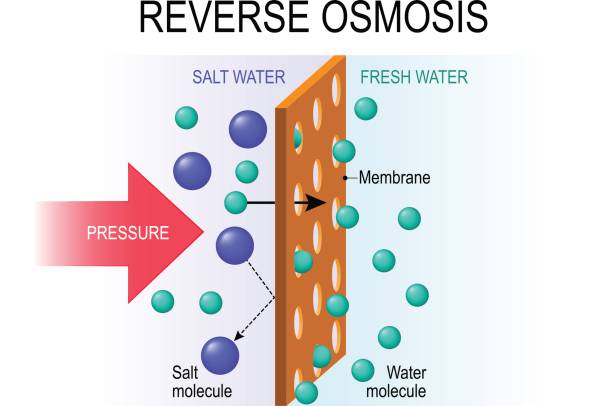 reverse osmosis membrane
