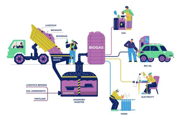 Biogas division diagram with digester generating gas fuel from waste and livestock. Natural renewable resources, flat vector illustration isolated on white background.