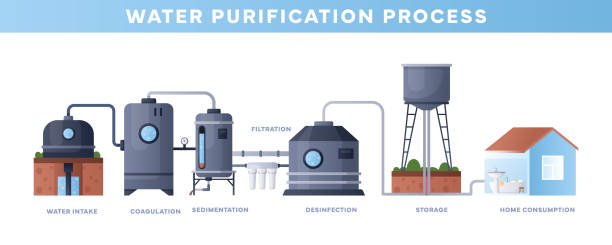 Water purification
