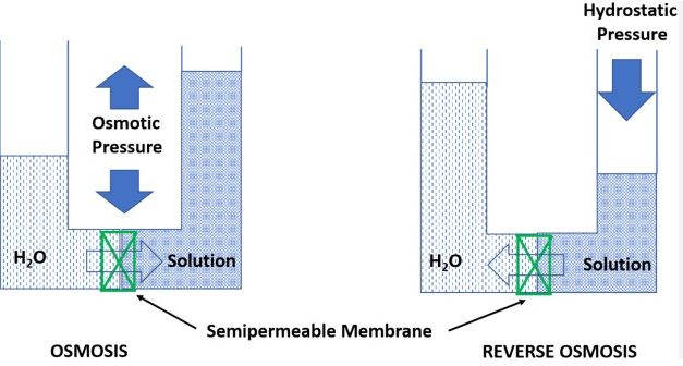 difference between osmosis and reverse osmosis