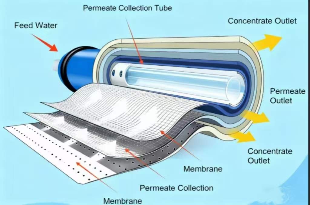 reverse osmosis membrane