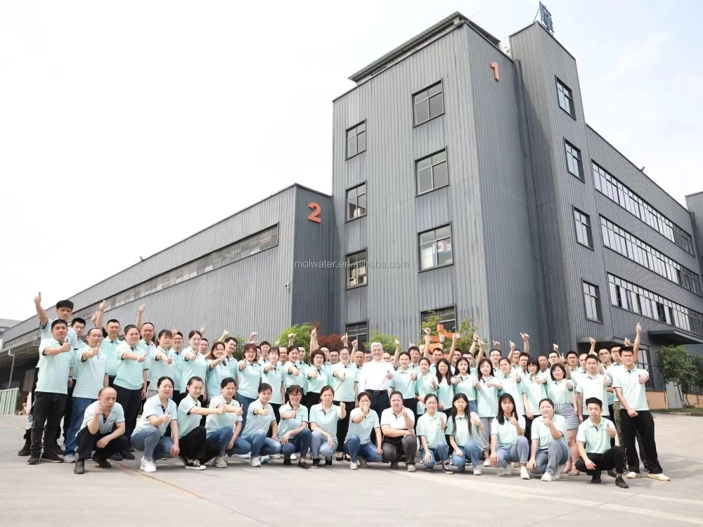 Molecular Team