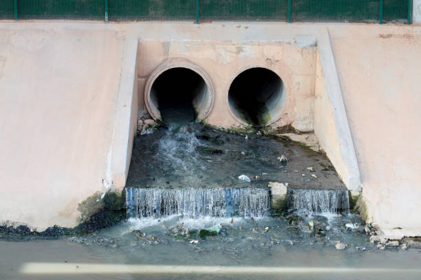 Water contaminated by sewage