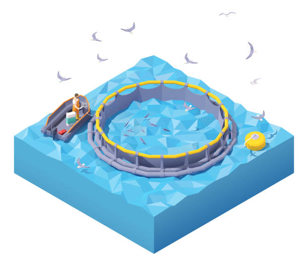 Fish Farming
