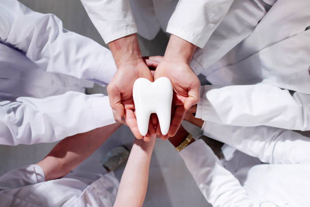 Group Of Dentists Holding Tooth.