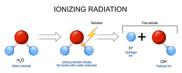 Hydrogen and Hydroxyl ions